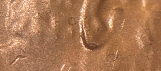 2019-D-LSC-New-Doubled-Ear.