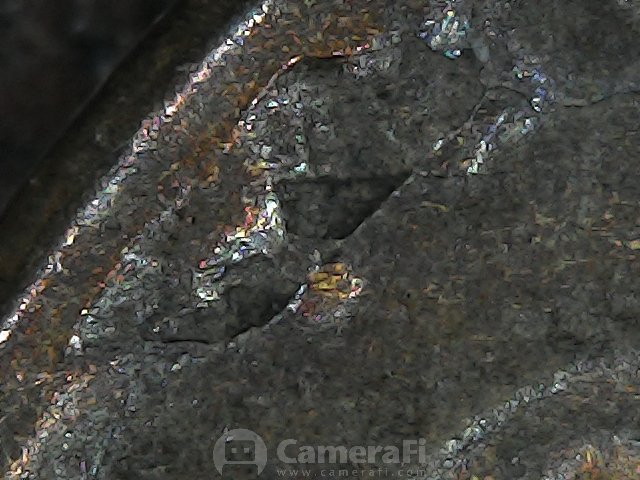 1926-S-Wheat-Cent-Error-?