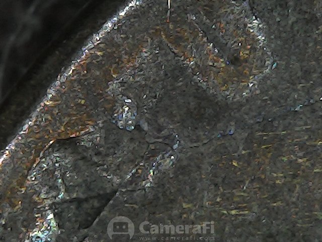 1926-S-Wheat-Cent-Error-?