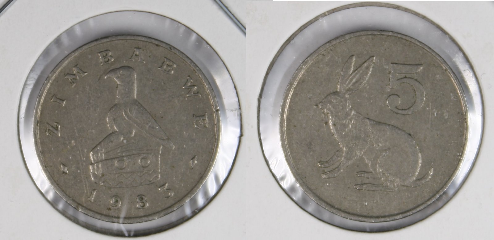 Post-Your-Coins-Representing-The-Animal-Kingdom.