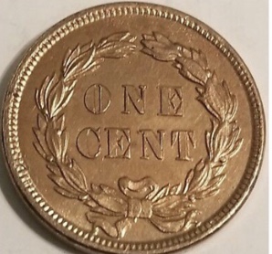 Indian-Head-Penny-For-Consideration