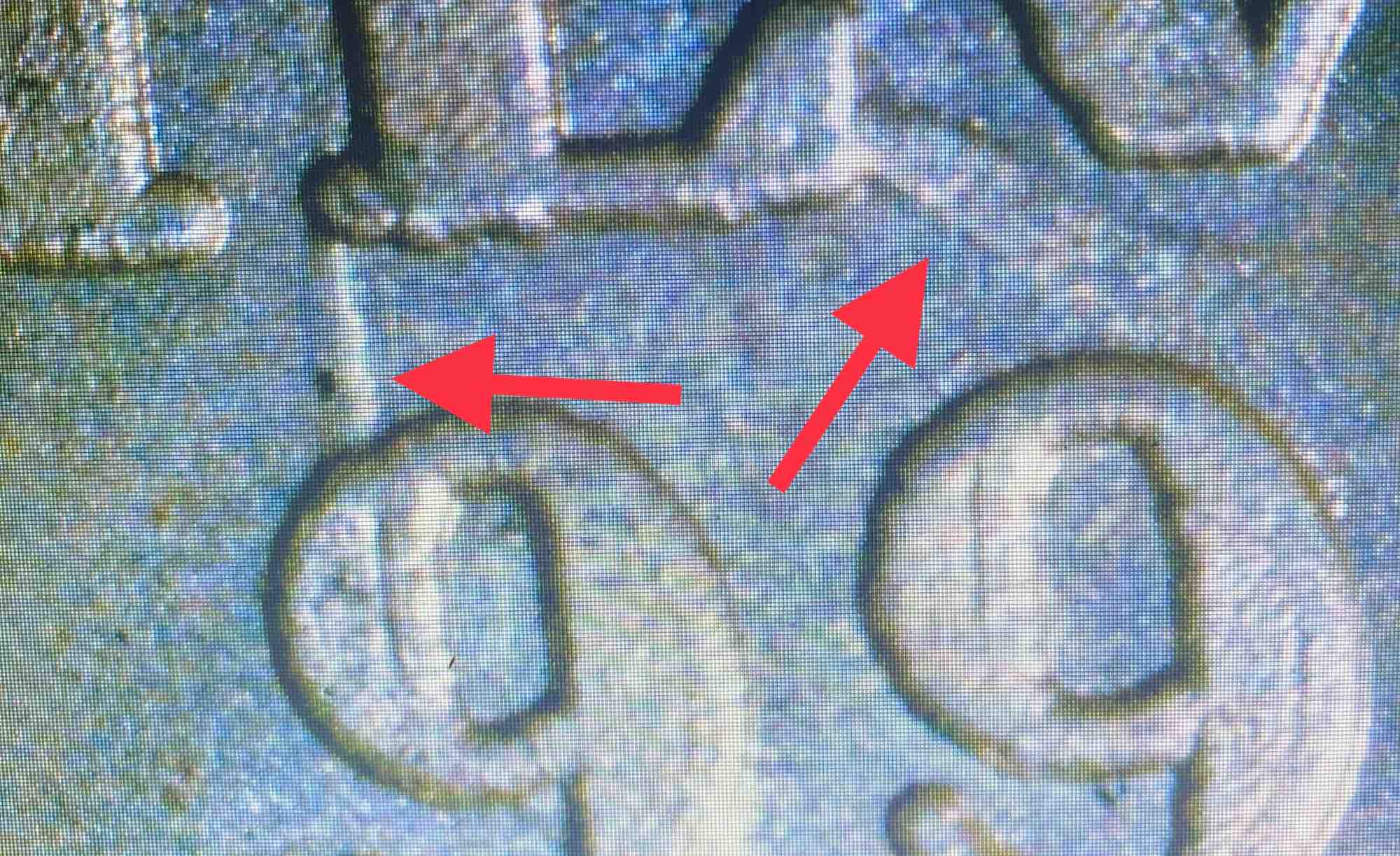 Indian-Head-Silver-Coin