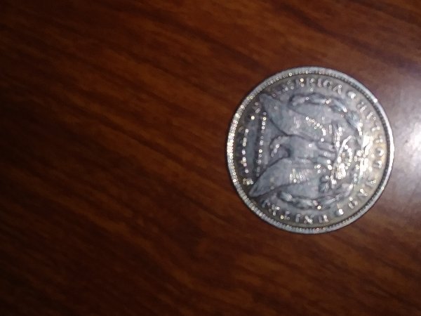 1880-Silver-Dollar-Tell-Me-What-You-Think