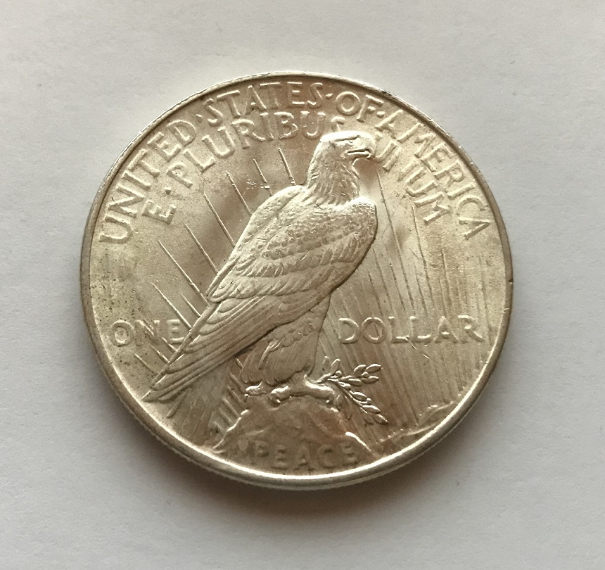 Need-Help-Grading-This-1922-Peace-Dollar.