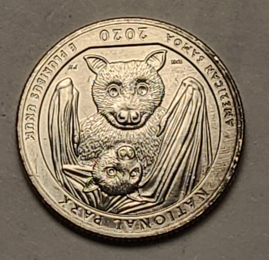 2020-D-Quarter-Black-Lines