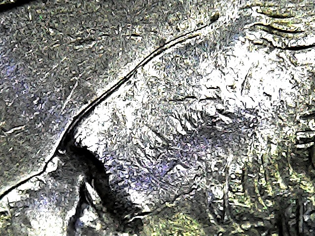 1994-P-Liberty-Quarter-MD-Or-Double-Die?