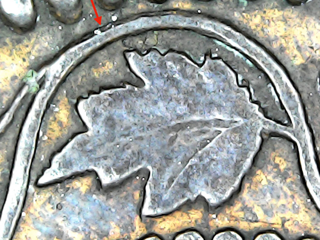 1881-H-Large-Cent,-Does-All-Of-This-Look-Normal-For-This-Year?