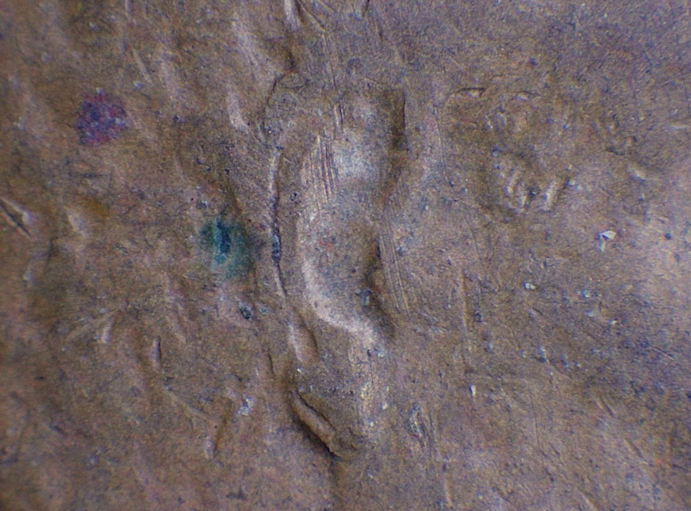 1945-LWC-Possible-Double-Ear-Or-PMD?