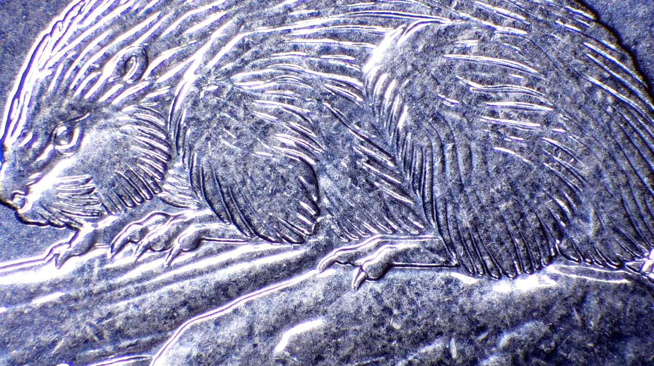 2019-5-Cent-Nickel,-Reverse-Circular-Lathe-Lines