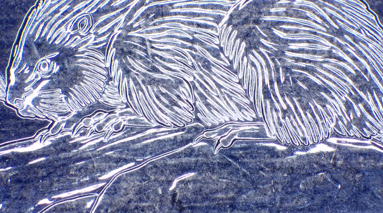 2019-5-Cent-Nickel,-Reverse-Circular-Lathe-Lines