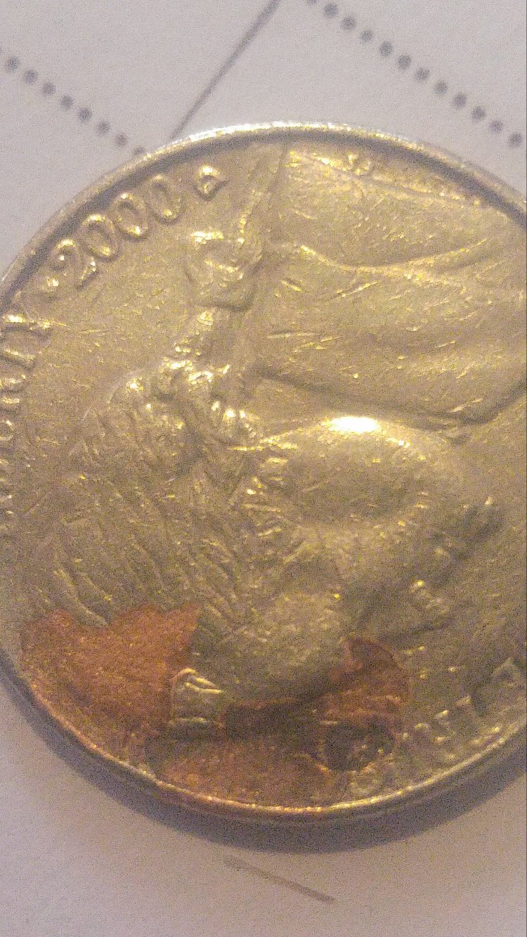 2000-D-Nickel-Lamination-Error