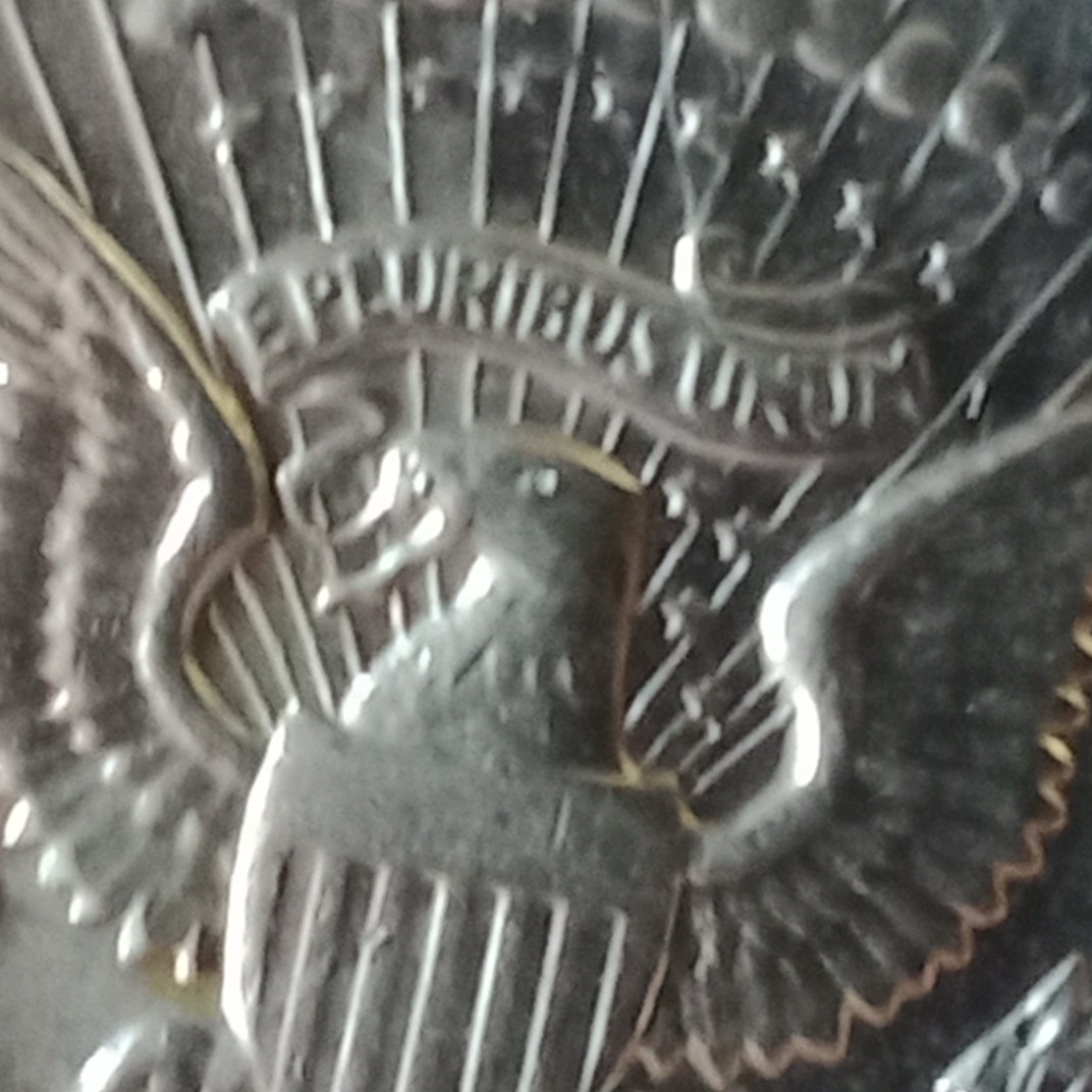 1981-Kennedy-Half-Dollar.-I-Am-Lost-On-This-One.-Help