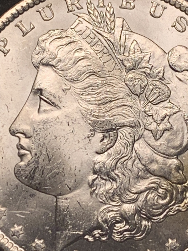 1882-CC-Please-Grade