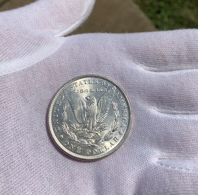 1889-P-Morgan-Does-It-Make-67?-You-Grade.