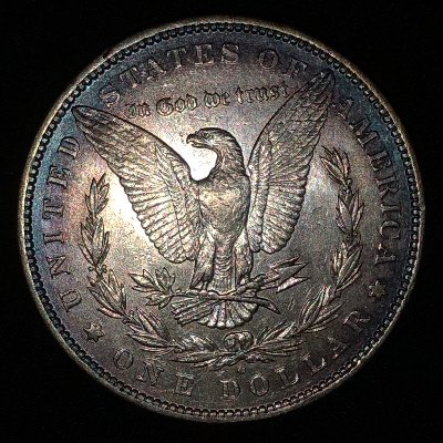 1880-O-Morgan-Dollar-For-Grading