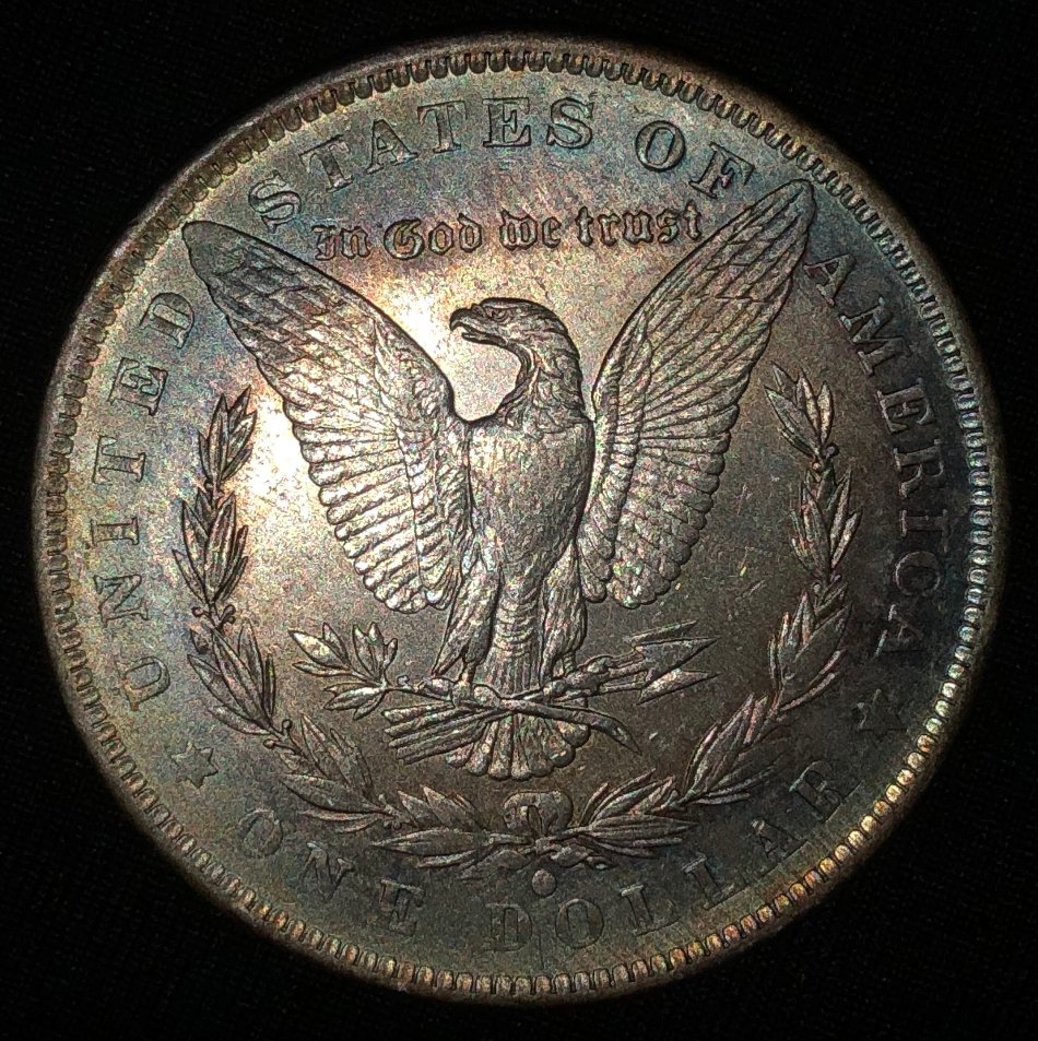 1884-O-Morgan-Dollar-For-Grading-Possible-Mint-Error