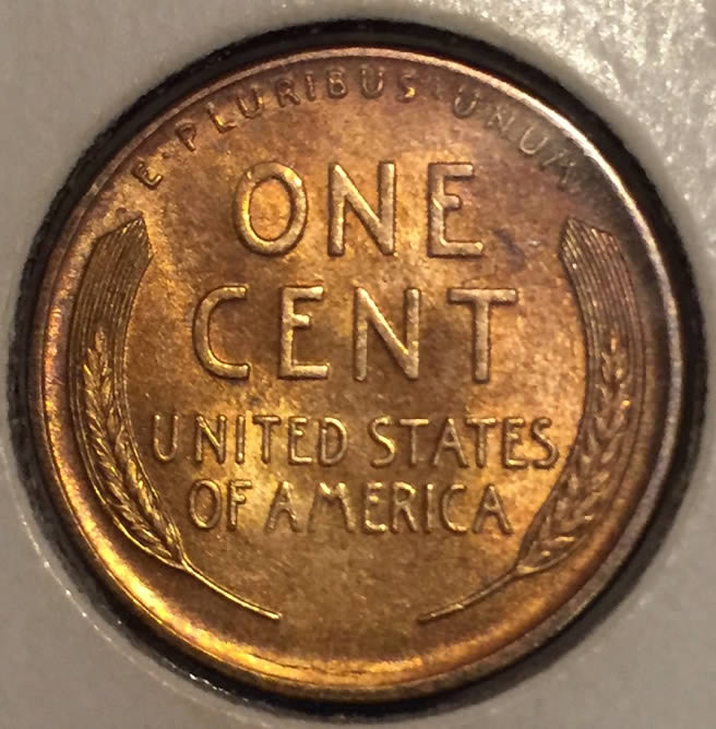 1910-S-Lincoln-Wheat-Cent-For-Grading