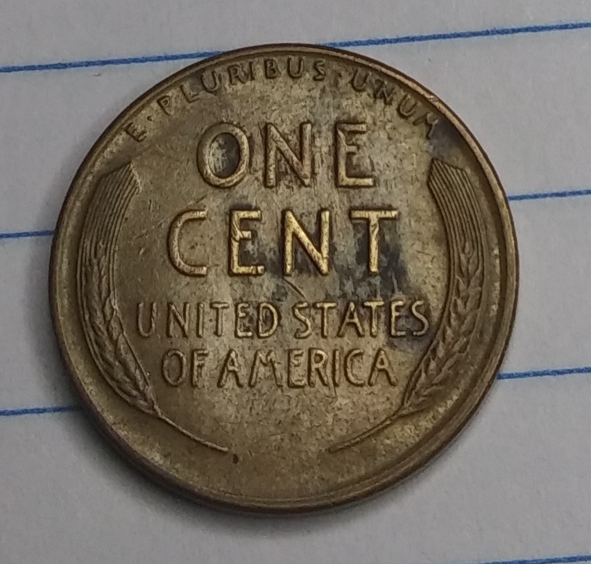 1954-S-Wheat-Back-