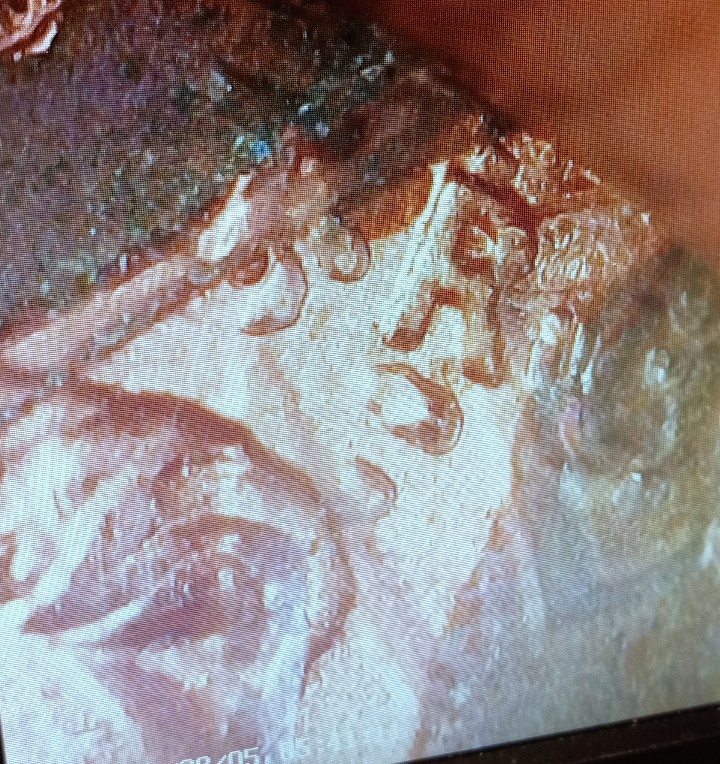 Help!-2001-Lincoln-Cent.-Impossible-Or-Legit?