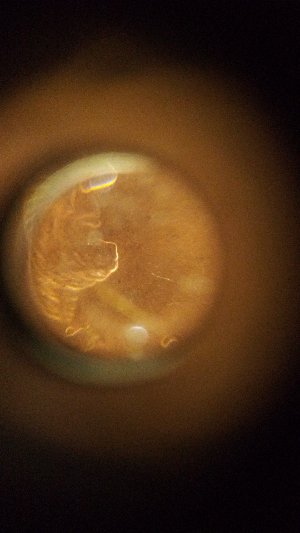 Lincoln's-Beard-Has-Changed-Look-At-Your-2006-And-2020-Penny