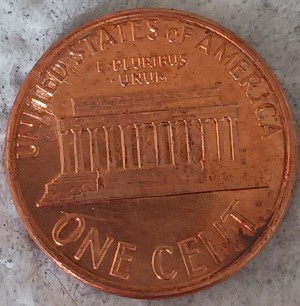 1988-Penny-With-A-Double-Profile-Image