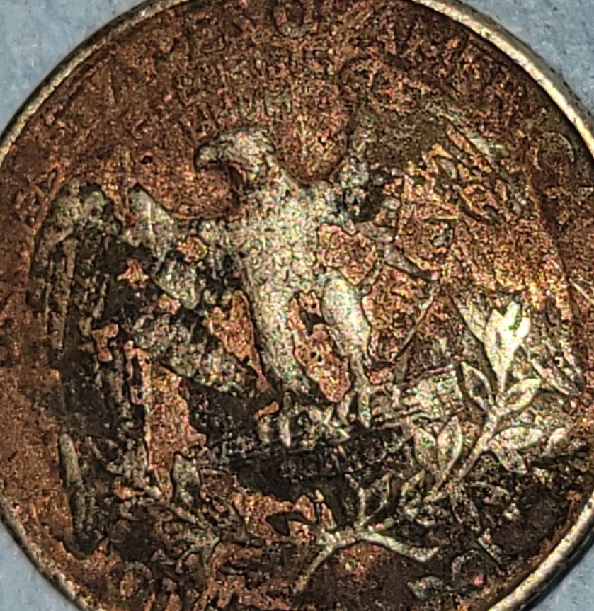 This-1995-Coin-Is-Black-And-Two-Toned?-Error-On-Hair?