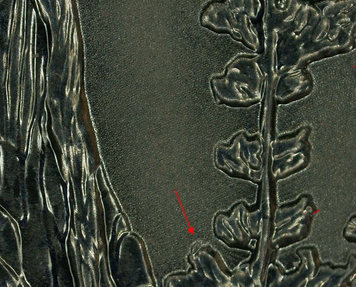 2018-S-Minnesota-Voyageurs-DDO?