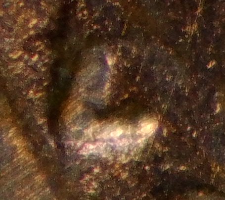 What-Device-Is-Needed-To-Take-Decent-Pictures-Of-Close-Ups?