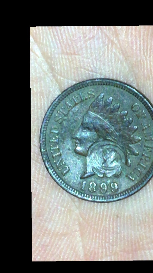 1899-Indian-Head-Cent-Interesting-Coin