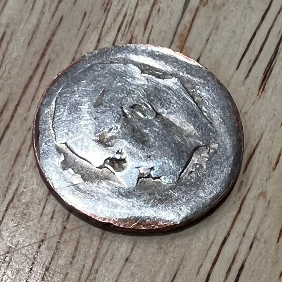 Came-Across-A-Wild-Dime-Today: