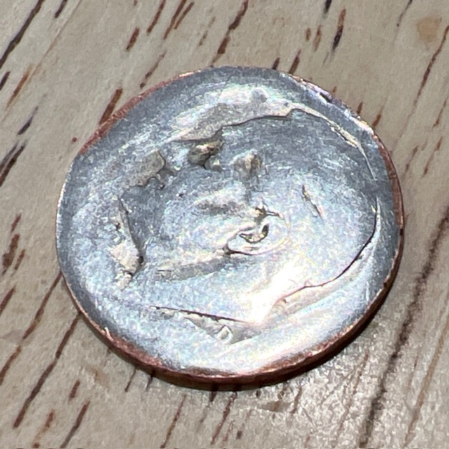 Came-Across-A-Wild-Dime-Today: