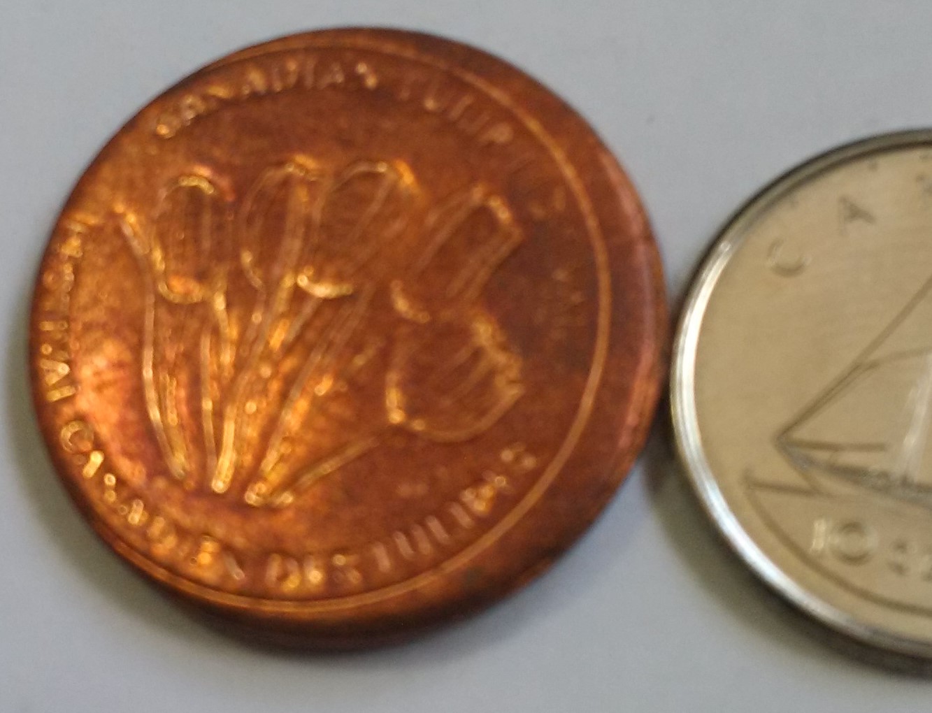 Any-Idea-What-This-RCM-Token-Is?-Visitor's-Token?