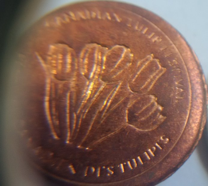 Any-Idea-What-This-RCM-Token-Is?-Visitor's-Token?