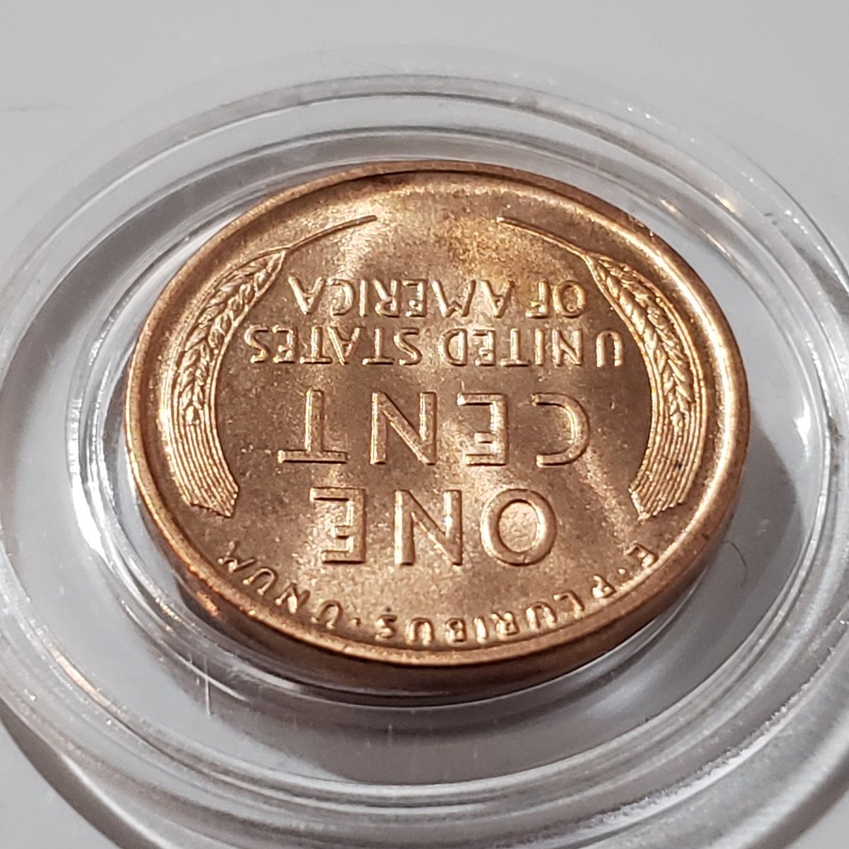 1909-P-Lincoln-Wheat-Cent,-Grade?