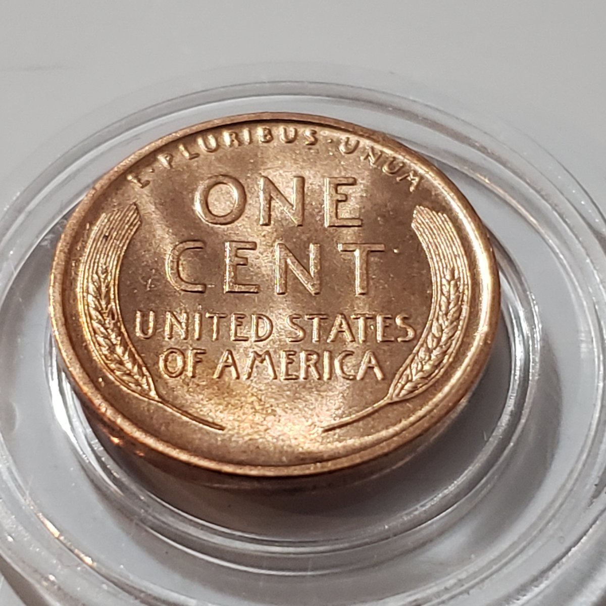 1909-P-Lincoln-Wheat-Cent,-Grade?