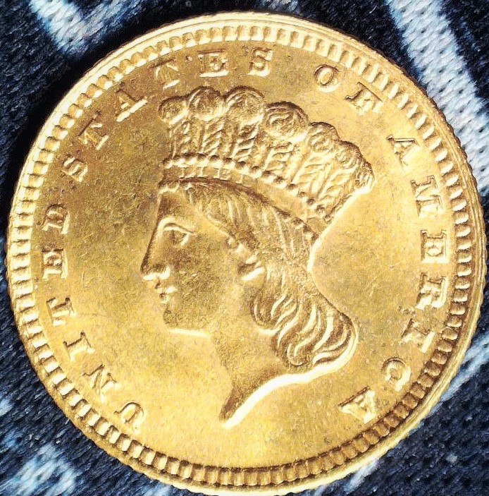 1883-Gold-$1-Indian-Princess,-For-Grading