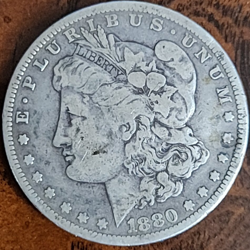 Grading-Request-On-1880-O-Morgan-Dollar