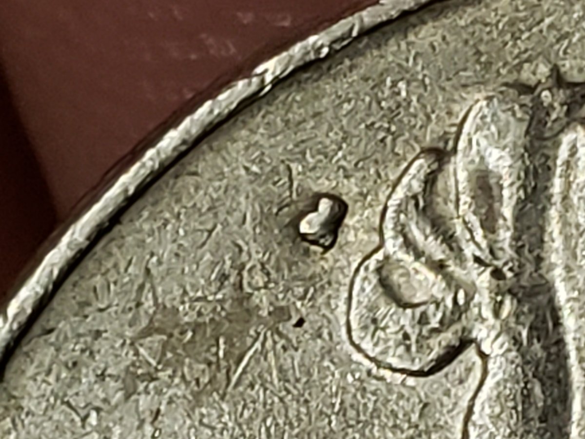 New-Collector-Help?-Best-Coin-Book?