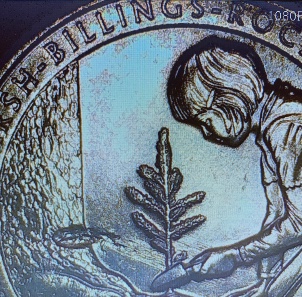 Unique-Error-On-2020-P-Vermont-Marsh-Billing-Quarter?
