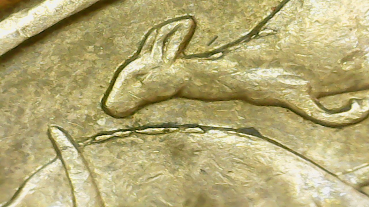 Very-Unusual-Mor-Cuds