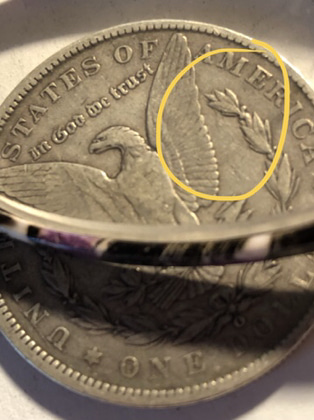 New-Error-On-1900-Morgan-Half-Dollar