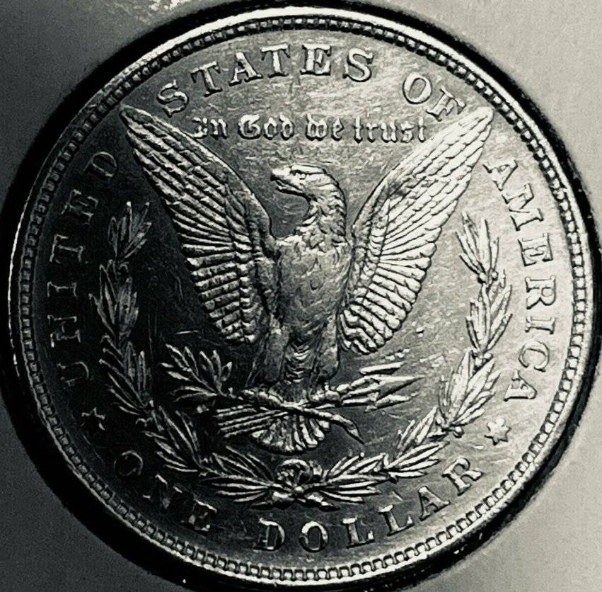 A-Tale-Of-Six-1878-8-Tail-Feather-Morgan-Dollars-Sold-At-Ebay-2-Weeks-Ago.