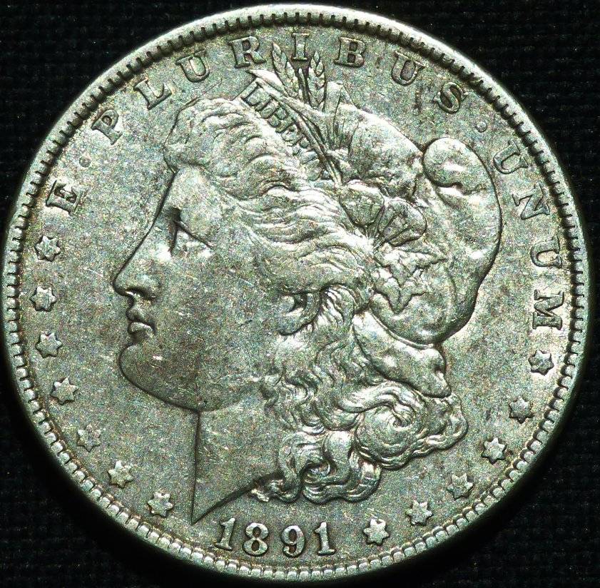 1891-P-Morgan-Dollar-Opinions-Please-......-#237