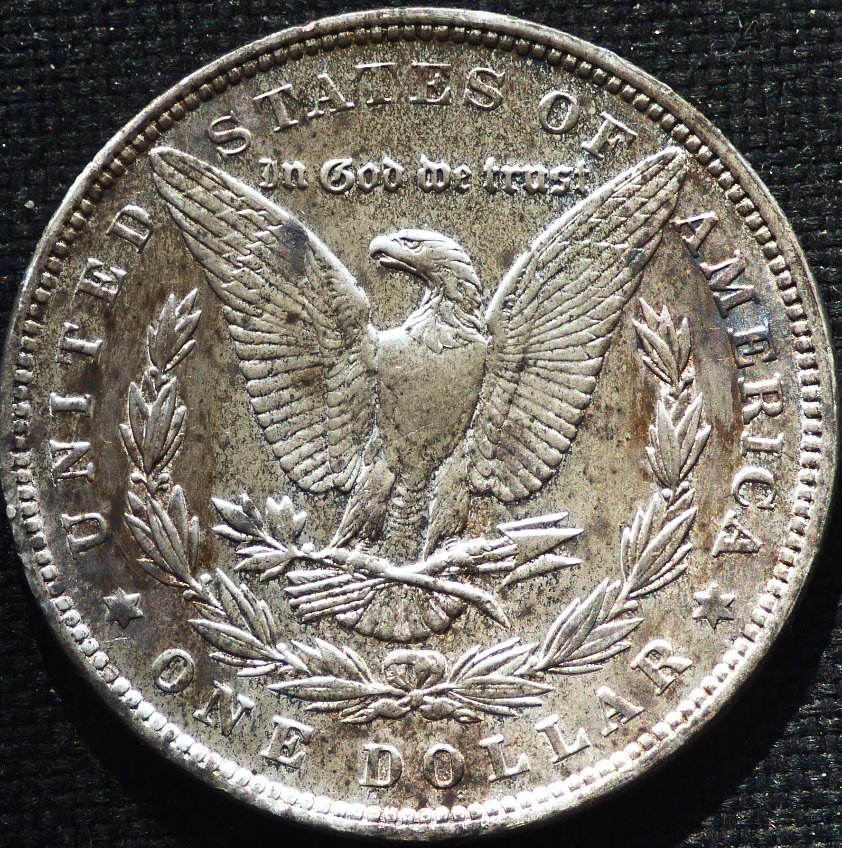 1878-P-Morgan-Dollar-Opinions-Please-......-#262