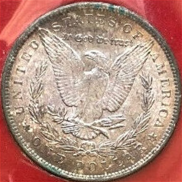 Promotional-American-Savings-Bank-Morgans-Opinions-Please