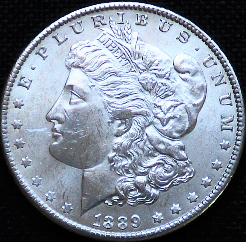#291-.-Morgan-Dollar-1989-P-.-Grading-And-Opinions-Please