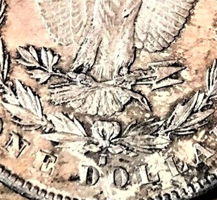 OK-All-You-Morgan-Dollar-Wizards-.-Is-This-An-1878-P-7/8-Or-Just-An-1878-S?