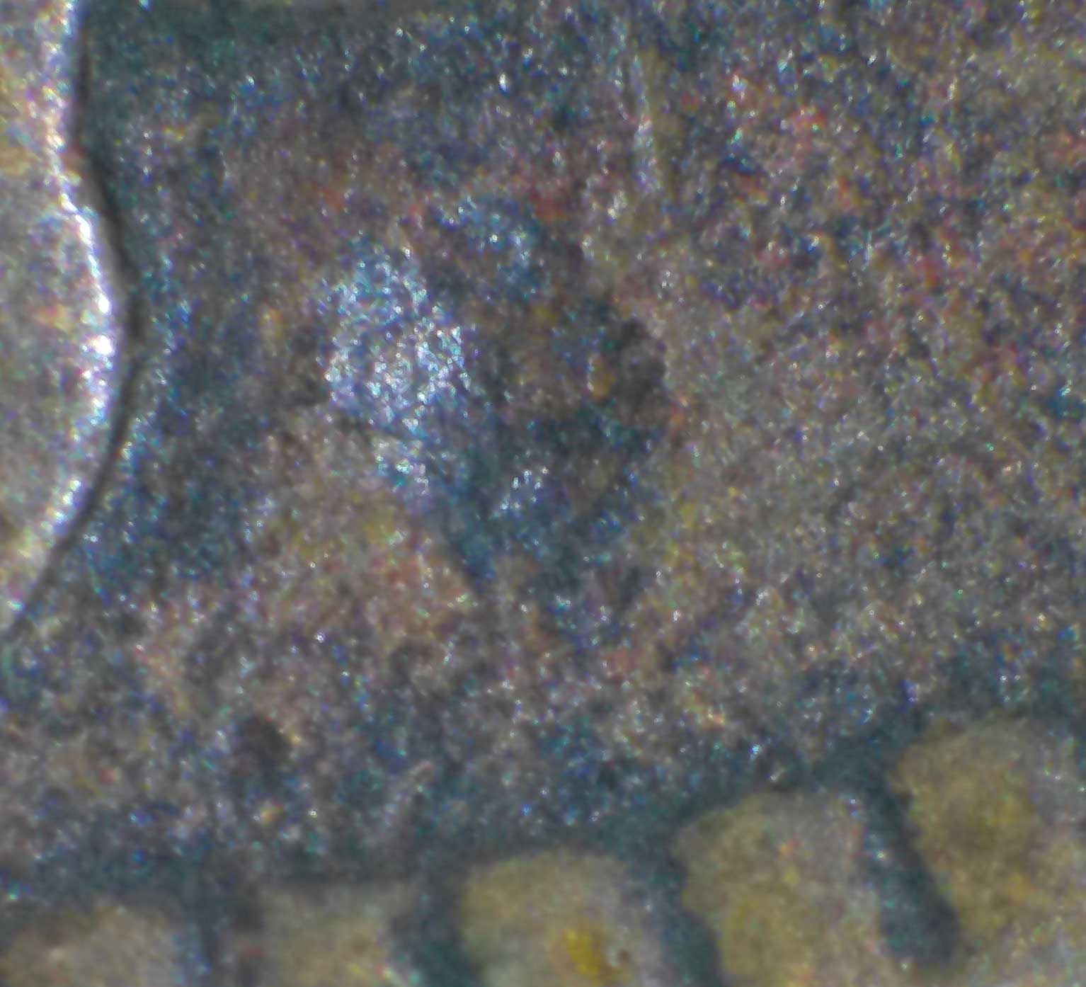 1908-IHC-Oddity-/-Expertise,-If-You-Please?