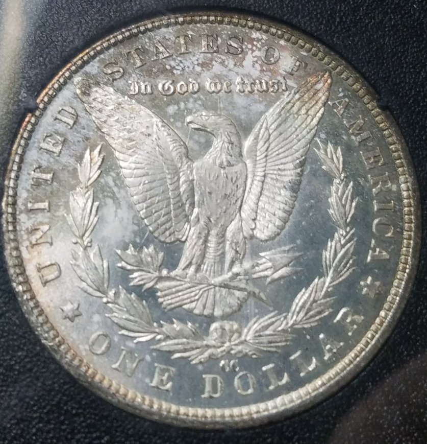 1883-CC-GSA-Dollar-Grade-Me