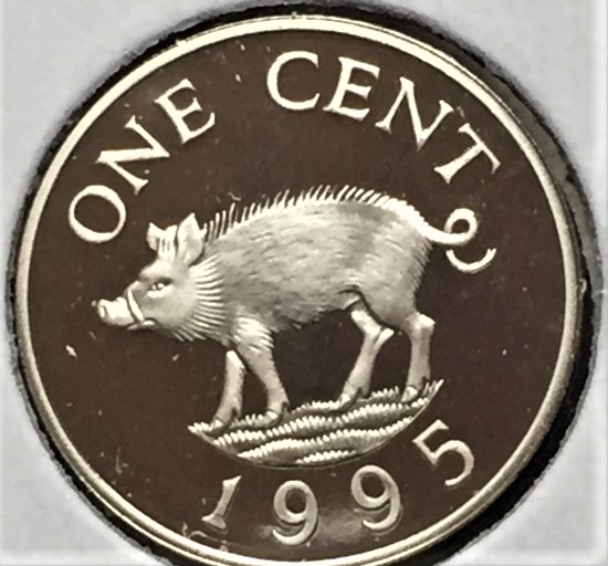 Post-Your-Coins-With-Earrings